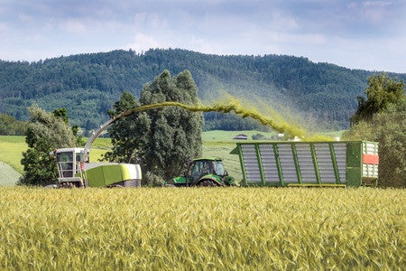 Arable Silage
