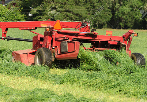 Short Term Silage Mix